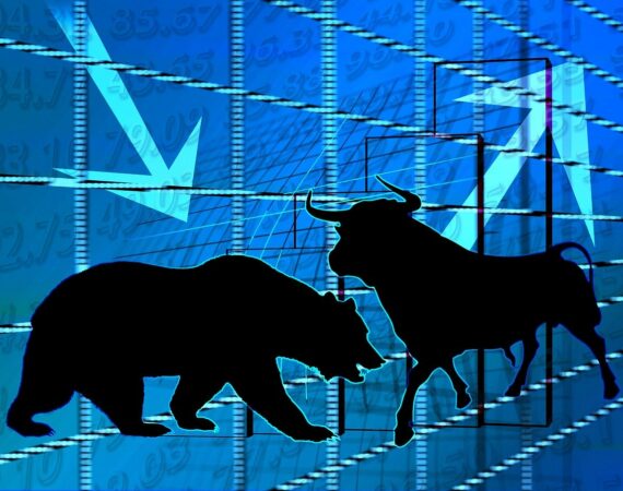 stock exchange, bull, bear