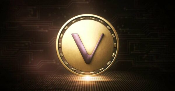 VeChain宣佈超級重要的選舉,成為區塊鏈行業最分散的專案 7 Vechain