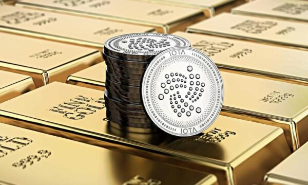 IOTA:關於Tangle請求,基於令牌的投票,搜尋的未來——生態系統正在快速增長 4 IOTA